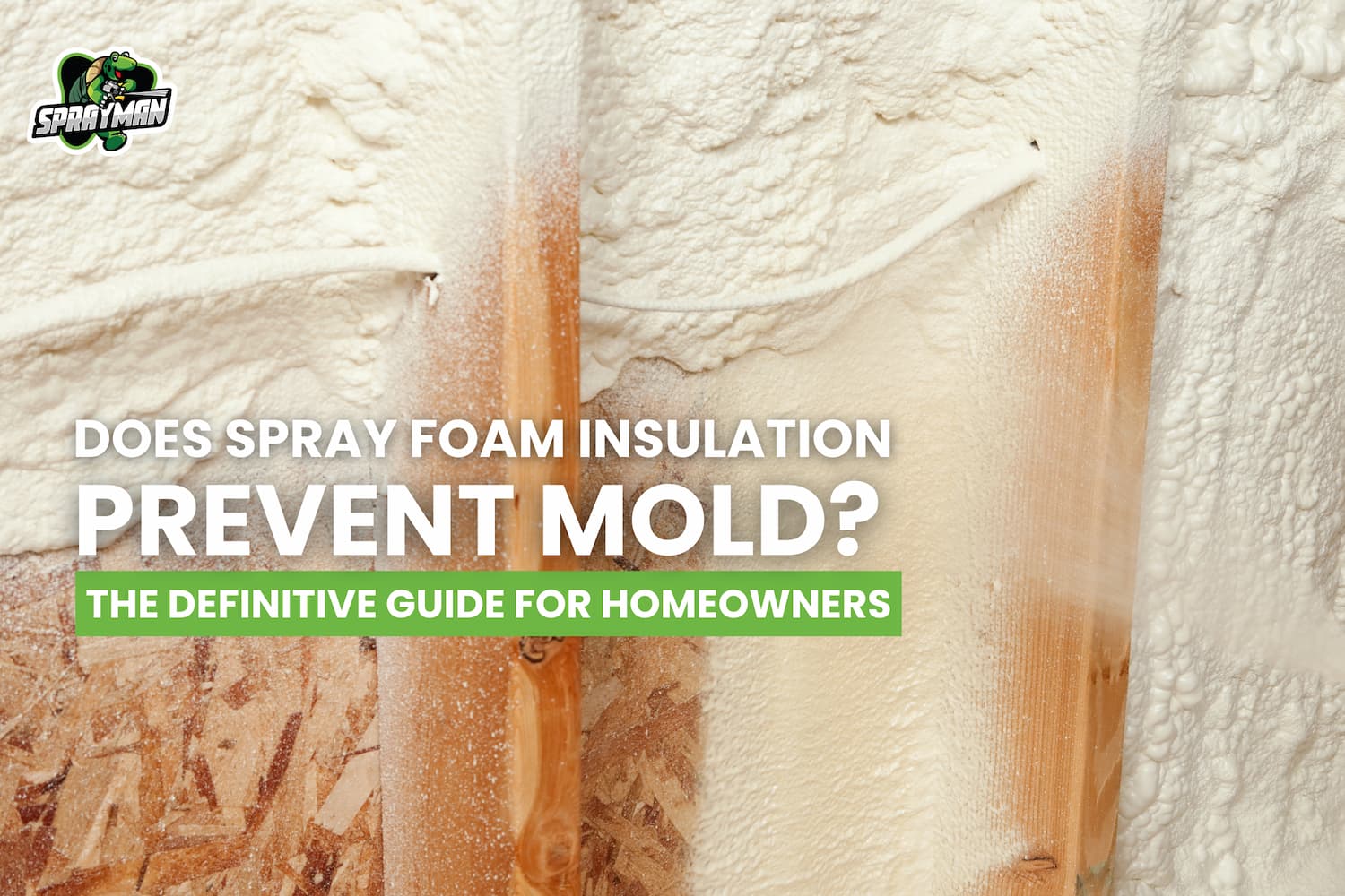 Does Spray Foam Insulation Prevent Mold? The Definitive Guide for Homeowners