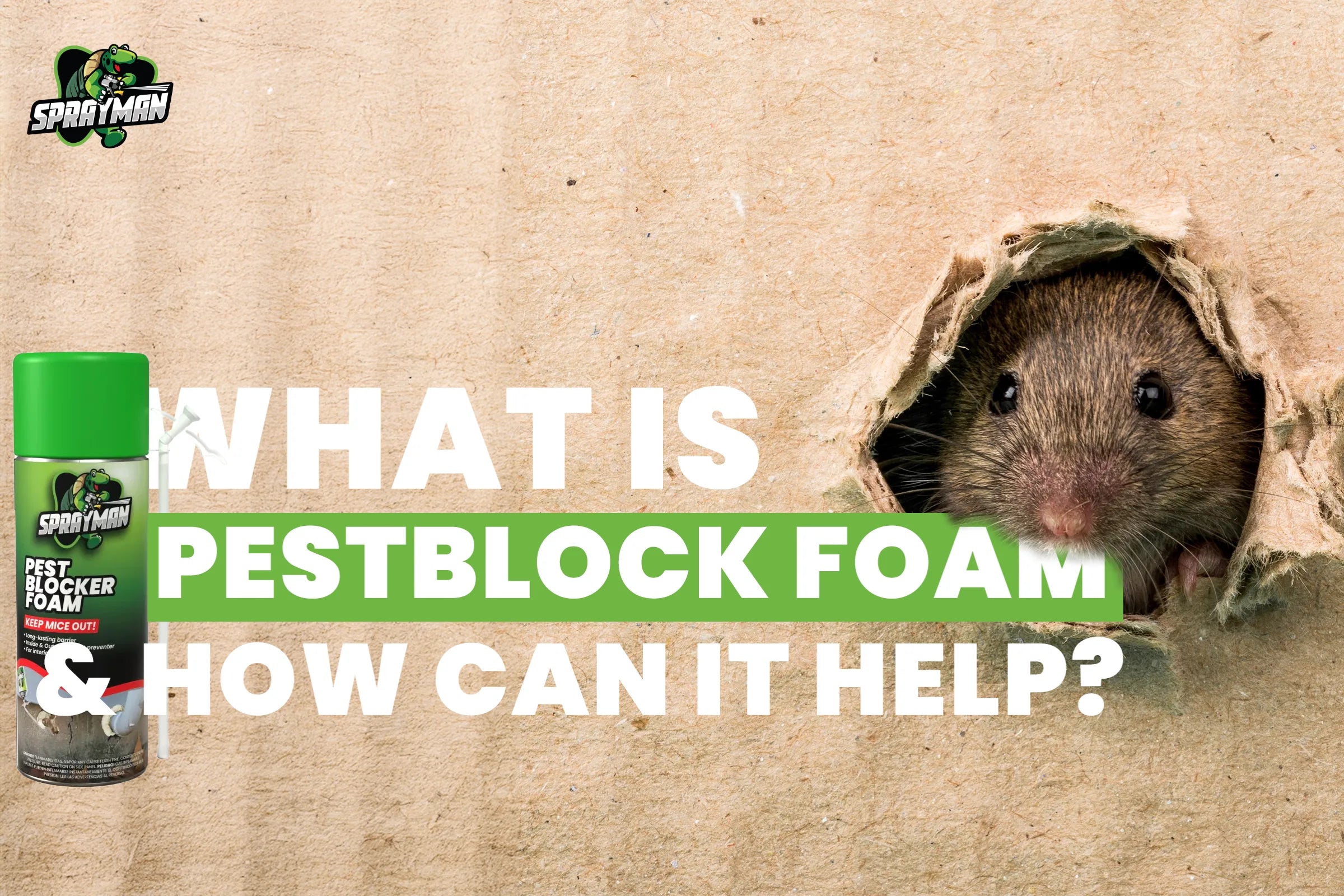 Pestblock Foam: DIY Pest Control Solution