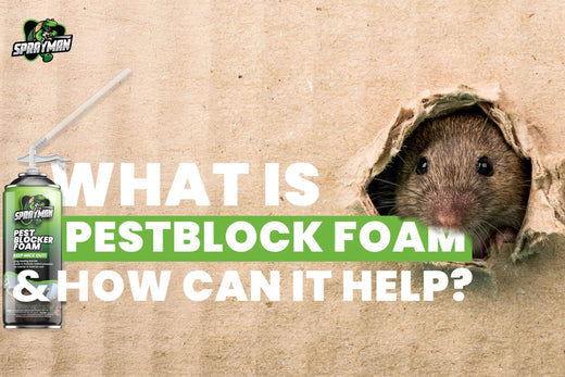 Pestblock Foam: DIY Pest Control Solution